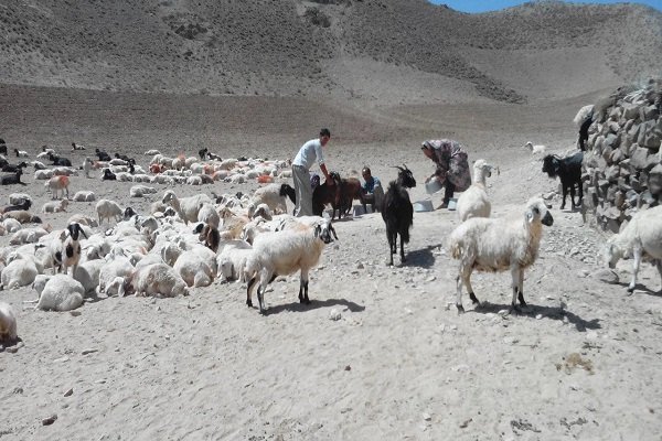 طرح آبرسانی به محلات عشایری نهبندان به بهره برداری رسید