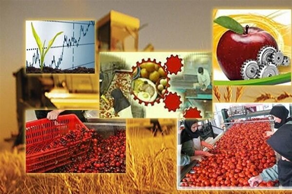 صنایع تبدیلی در کارزار بقا/ چراغ فرآوری همچنان کمنور است