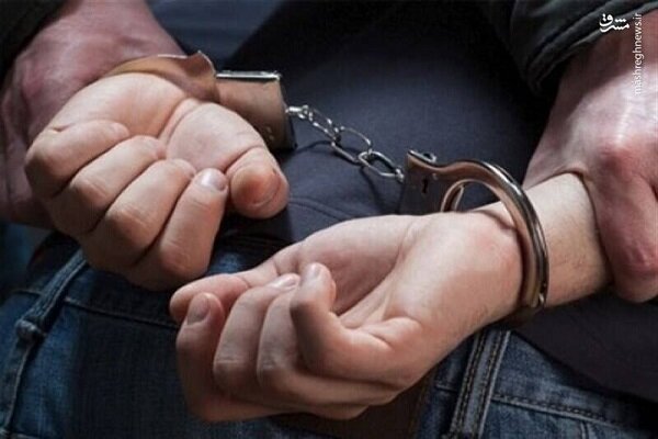 دستگیری ۲۲ سارق در سلسله – خبرگزاری مهر