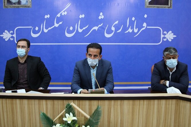 جادههای تنگستان ایمنسازی شوند/ انتقاد از نصب نامناسب سرعتگیرها