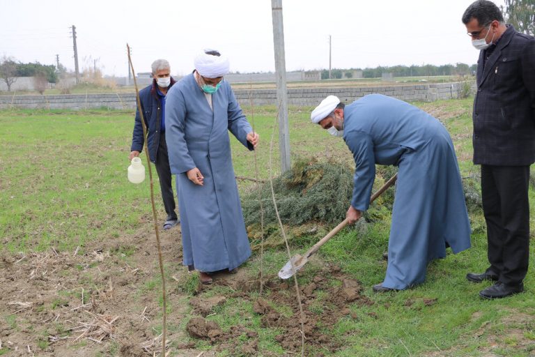 درختکاری در بقاع متبرکه مازندران آغاز شد
