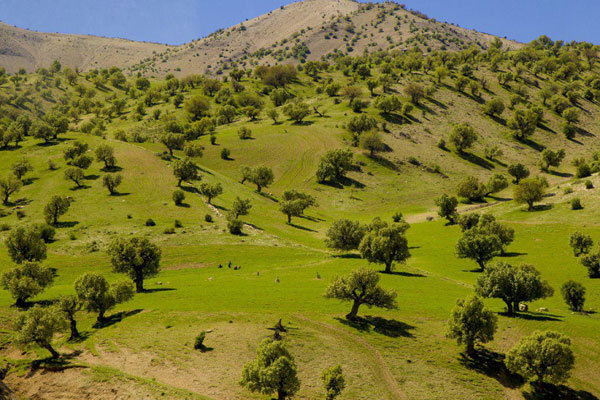 نظارت مستمر بر تأسیسات گردشگری در استان ایلام