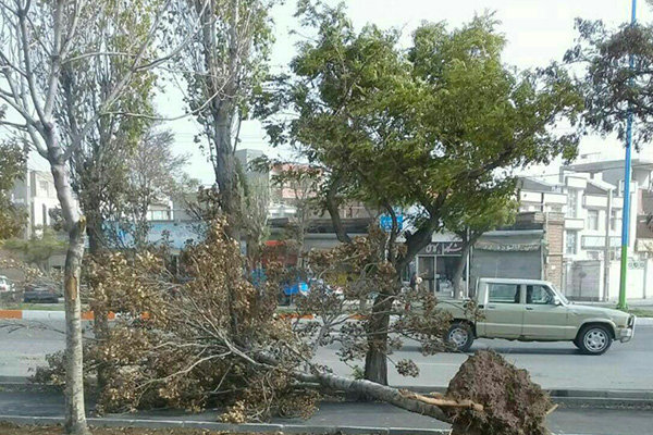 تندباد در اردبیل خسارتی به همراه نداشت