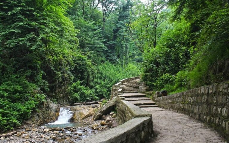 شکارچیان غیرمجاز به پاکسازی زیستگاههای گلستان محکوم شدند