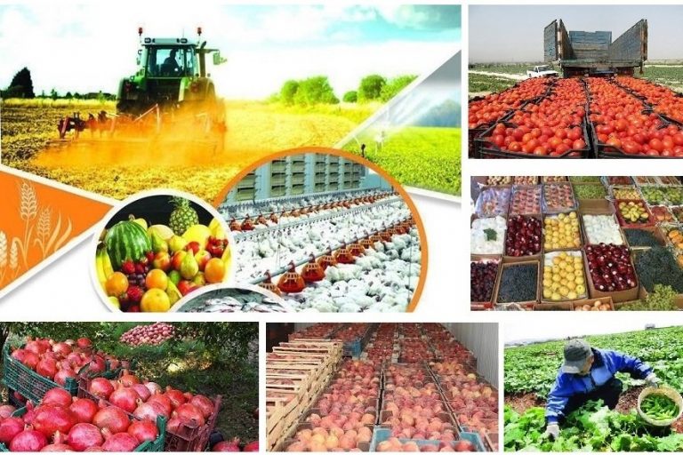 تولید محصولات کشاورزی بندر ماهشهر افزایش داشته است