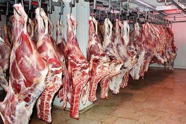 ۱۰ تن گوشت قرمز بین نیازمندان خراسان جنوبی توزیع شد