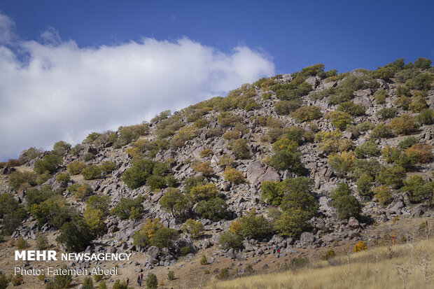 توزیع آب گرمکن خورشیدی در روستاهای لرستان