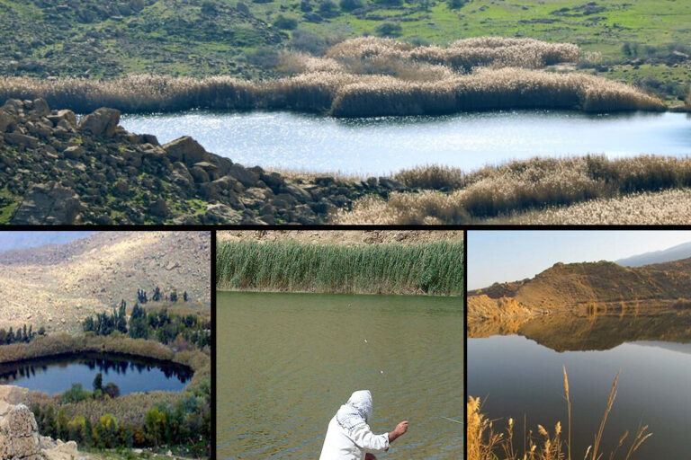 مرگ تدریجی تالابهای لرستان/ صدور سند کشاورزی برای تالاب!