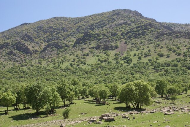 کاداستر ۹ میلیون هکتار از منابع طبیعی فارس