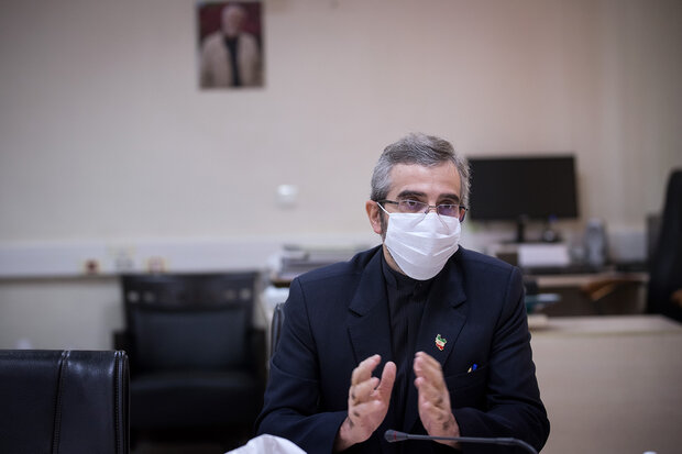 کنایه باقریکنی به گزارشگر حقوق بشر انگلیسی