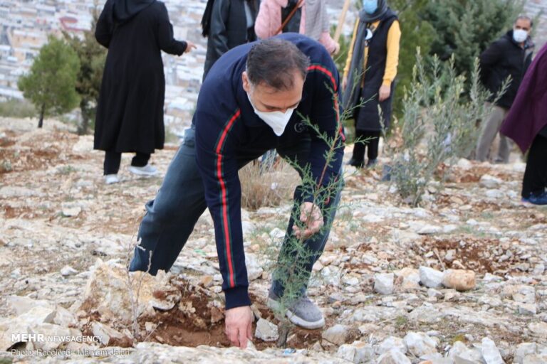 ۱۵۰۰ اصله نهال در نماز جمعه میامی توزیع میشود