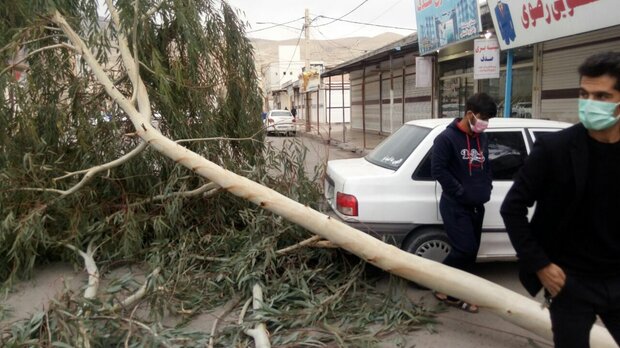 تندباد مازندران را درنوردید/ احتمال آتش سوزی در جنگل ها