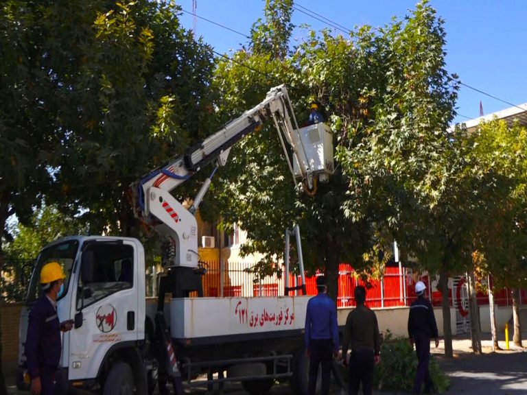 کاشت درختان بلند قامت در محدوده حریم شبکه های برق ممنوع است