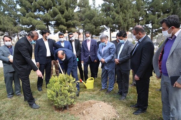 کشت ۴۰۰ هزار نهال طی نیمه دوم سال در خراسان شمالی