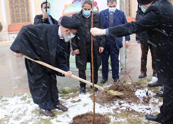 کاشت نهال در محوطه مصلی امام خمینی (ره) توسط امام جمعه تبریز