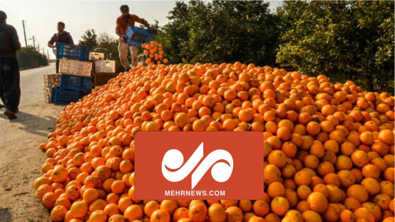 تولید مرکبات، فرصتی ایدآل برای رشد اقتصادی در تحریم – خبرگزاری مهر