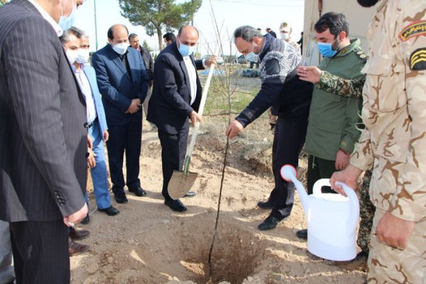 ۲۵۰ اصله نهال به نام شهدا در پیشوا کاشته شد