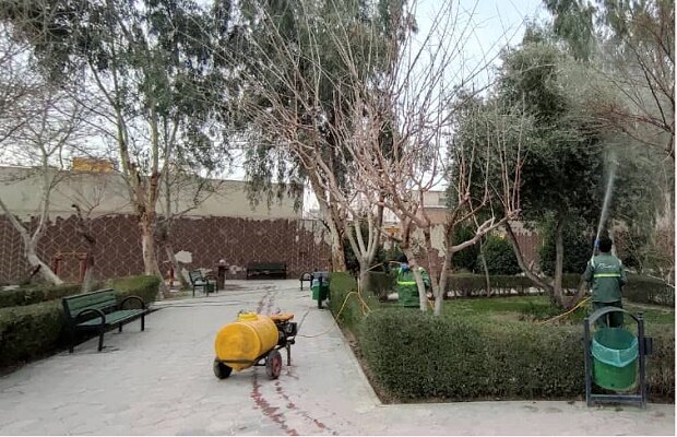 تکمیل پروندههای گیاه پزشکی درختان کهنسال در بخش مرکزی شهر تهران