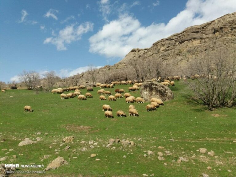 ملاقات برف و بهار در آخرین روزهای زمستان
