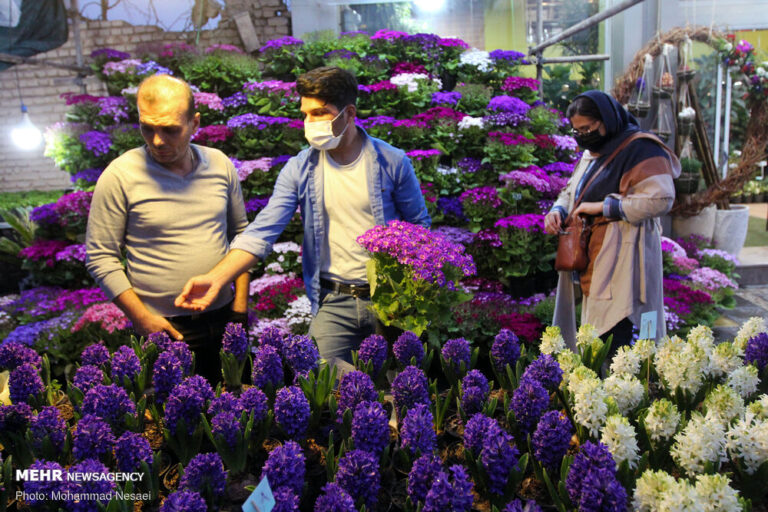 بازار داغ گل و ماهی در گرگان