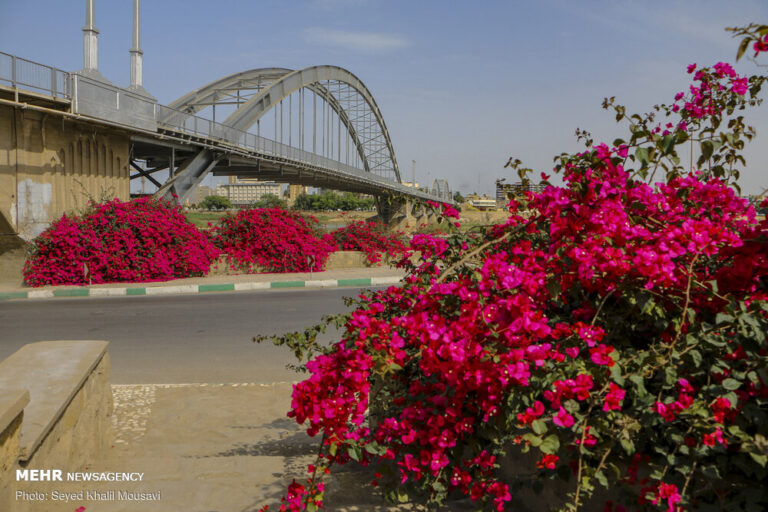اهواز در محاصره گل های کاغذی