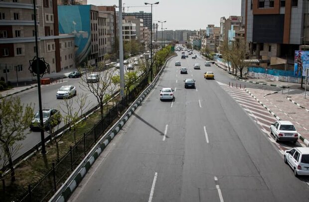 ۷۰ درصد پلاک های تردد شده در گلستان بومی بودند