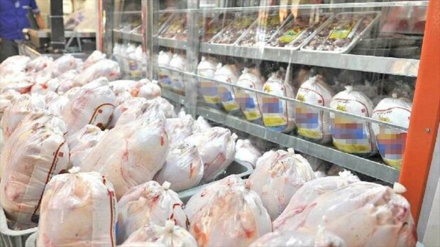 تمرکززدایی در فروشگاههای عرضه مرغ انجام شود