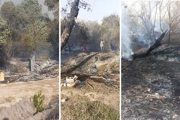 قصه تکراری در نوروز هر سال؛ جنگل گلوبردکان دچار آتشسوزی شد