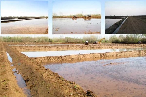 ۹۰۰ هکتار از اراضی کشاورزی گیلان امسال تجهیز میشود
