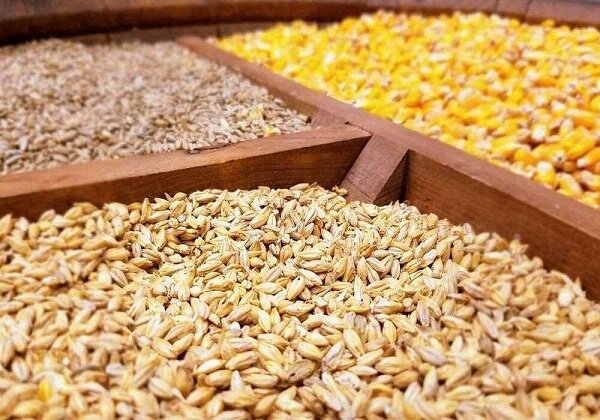 ۱۳۰هزار تن نهاده دامی توسط تعاون روستایی آذربایجان‎شرقی توزیع شد