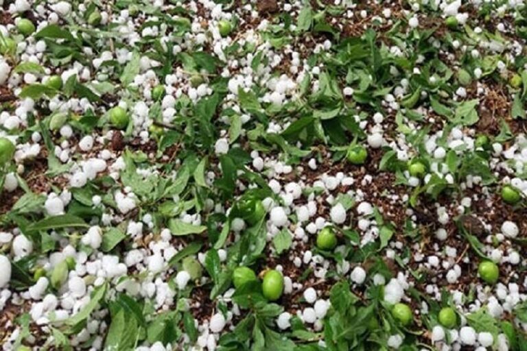 احتمال بارش تگرگ در البرز – خبرگزاری مهر