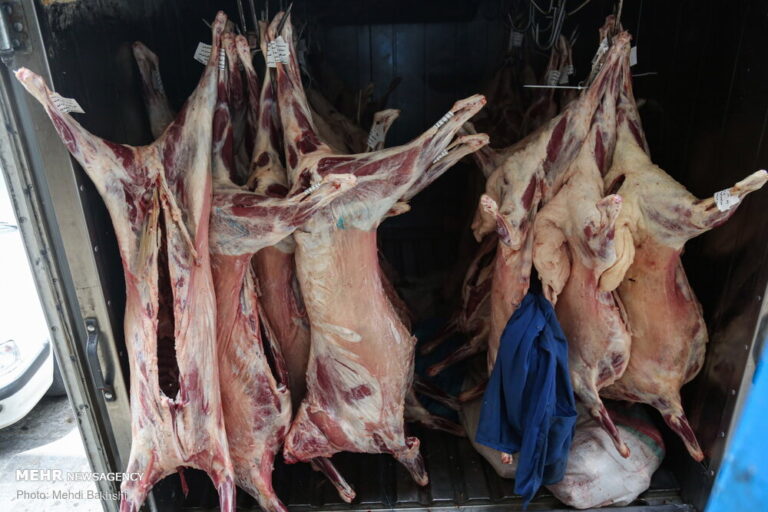 چالش های بهداشتی کشتارگاه نوشهر معضل تکراری است