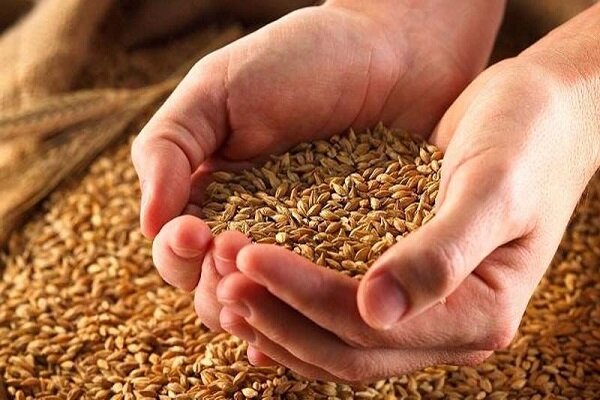 ۳۲درصدزکات جمع آوری شده دراستان برای اجرای طرحهای عمرانی هزینه شد