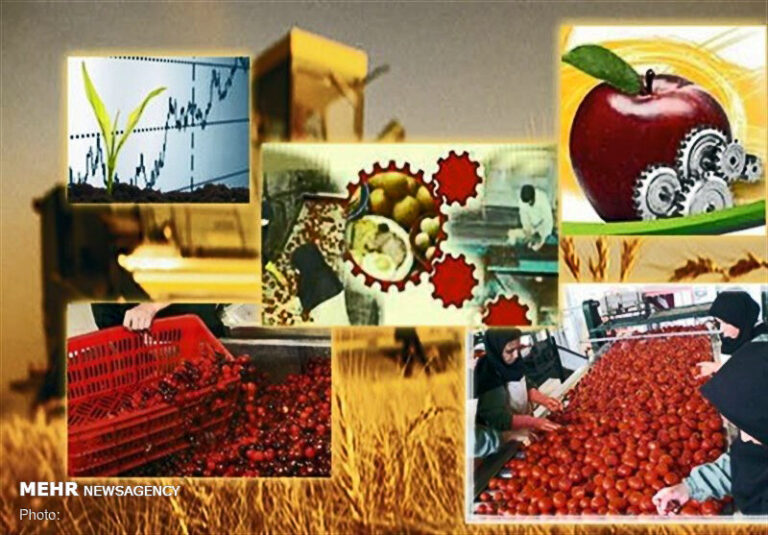کمبود منابع مالی سرمایهگذاری چالش پیش روی صنایع تبدیلی است