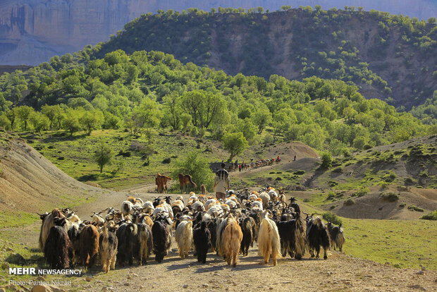 عشایر با خشکسالی سختی مواجهند/دولت یارانه کوچ ماشینی راپرداخت کند