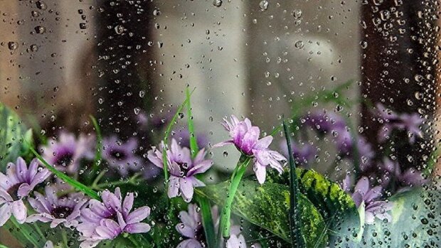 ورود سامانه بارشی به گلستان/دمای هوا ۱۴ درجه کاهش می یابد