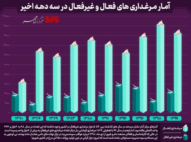 مرغ چرا گران شد؟/ یک سال و نیم بیتوجهی به صنعت طیور!