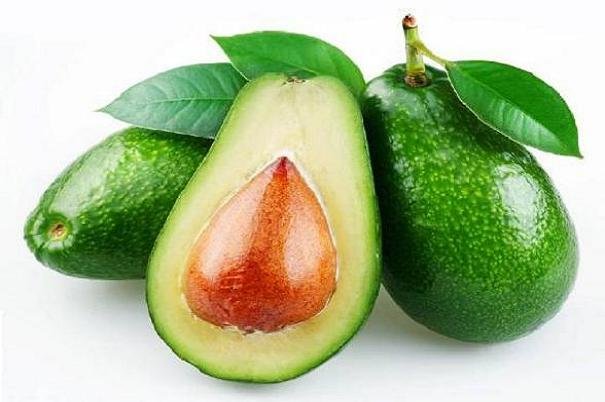 ترکیب موجود در آووکادو به درمان لوسمی کمک میکند