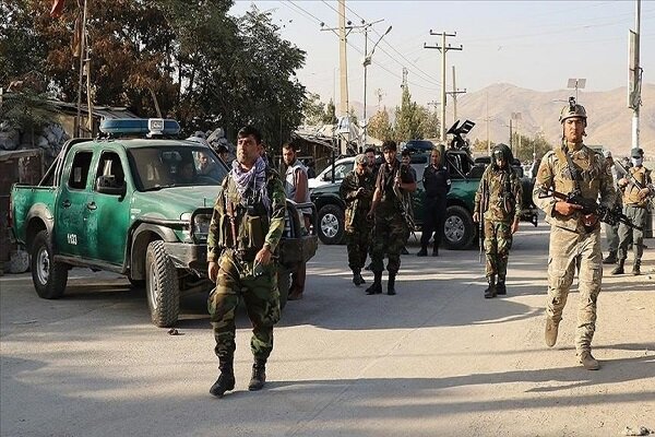 ۲۱۵ نفر از اعضای طالبان در مناطق مختلف افغانستان کشته و زخمی شدند