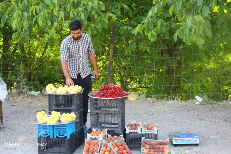 روستای هدف گردشگری«حیدرآباد» ایلام